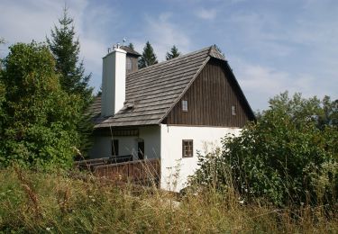 Excursión A pie Gemeinde Reichenau an der Rax - Gsolhirnsteig - Bergstation - Photo