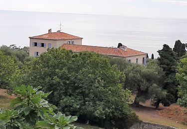 Randonnée Marche Menton - tour du Cap Roquebrune Cap Martin - Photo