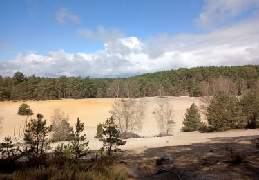 Trail Walking Nemours - Poligny coders M2 - Photo