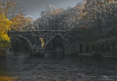 Excursión A pie Guitiriz - Ruta de Sendeirismo Das Bidueiras - Photo