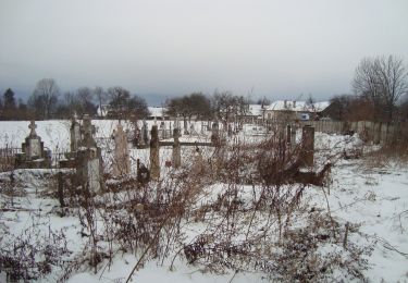 Tour Zu Fuß  - Dejani - Curmătura Brătilei - Photo