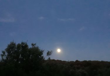 Tour Wandern Collias - Rando crepuscule Gorges du gardon  - Photo