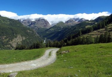 Percorso A piedi Ayas - (SI F18) Rifugio Grand Tournalin - Crest - Photo