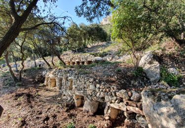 Randonnée Marche Lamanon - Les murs d'abeilles  - Photo