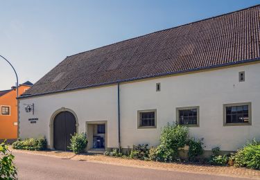 Randonnée A pied Kehlen - Promenade Historique Kehlen - Photo