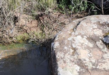 Trail Walking Le Cannet-des-Maures - lac des Escarets terrain  - Photo