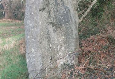 Trail Walking Belz - PR_56_Belz_EA_05_Tro-Belz-Cote-Terre_Circuit4a_20250326 - Photo