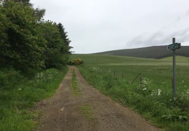 Tour Zu Fuß  - Skyline Walk - Photo