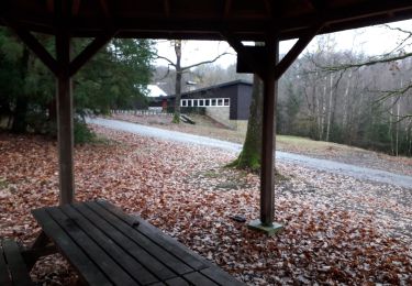 Trail Walking Saint-Hubert - Arville 031220 - Photo