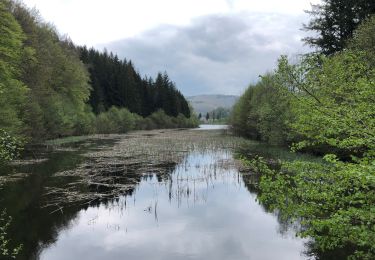 Tour Wandern Condat - Lac des Moines Chemin du lac - Photo