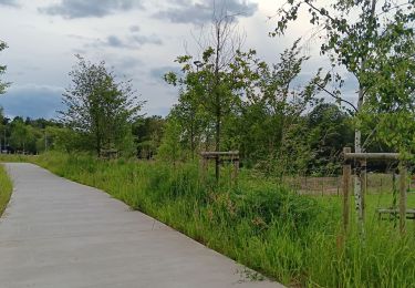 Tour Wandern Lüttich - autour de l'institut botanique et colonster  - Photo