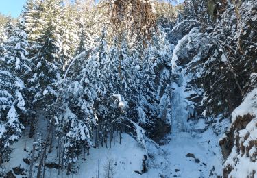 Tour Schneeschuhwandern Chamonix-Mont-Blanc - 20230124 Chamonix Cascade du Dard - Photo