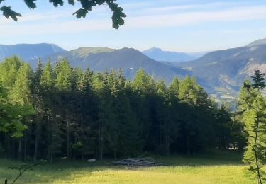 Trail Walking Seyne - SEYNES,  S Pons , Bellevue,  Clot des Ayres , cabane Jaubert o m - Photo