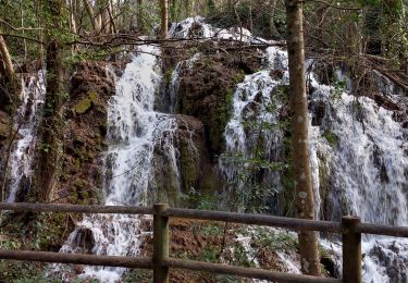 Trail Walking Gémenos - vallée  de st pons glaciere  grande baume - Photo