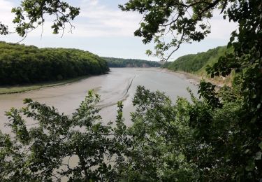 Trail Walking Taden - Fred moulin du prat  - Photo