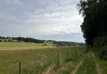 Tocht Stappen Anthisnes - Villers aux tours - Photo