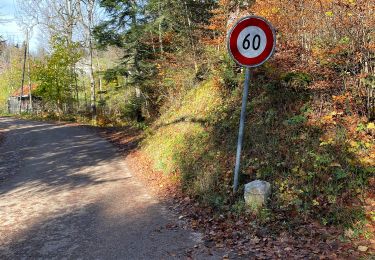 Percorso A piedi Le Locle - Les Frêtes - fixme - Photo