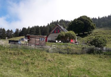 Tour Wandern Autrans-Méaudre en Vercors - Autrans - la Molière - Pas du Tracollet  -,les Feneys - Photo