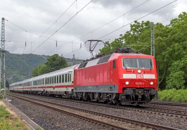 Randonnée A pied Sankt Goarshausen - Bergbau- und Landschaftspfad Ehrenthal-Prath-Wellmich - Photo