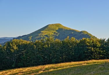 Randonnée A pied Propata - Caffarena - Casa del Romano (Ippovia Antola sud) - Photo