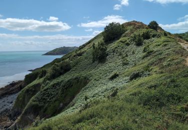 Trail Walking Binic-Étables-sur-Mer - Binic la Banche - GR34 Plage des Rosaires - 22.2km 530m 5h10 (35mn) - 2024 07 04 - Photo