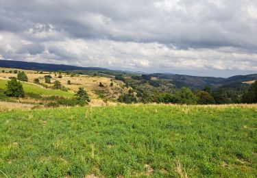 Trail Walking Cubières - Cubière - Photo