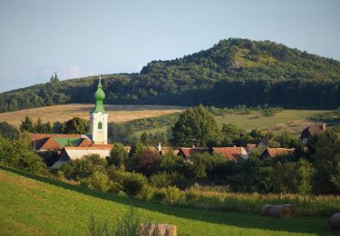 Trail On foot Felsőpetény - Reformáció Emlékút 1 (Egyházasdengeleg - Nógrád) - Photo