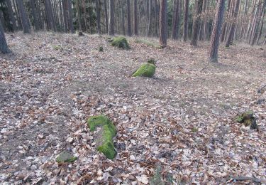 Percorso A piedi Holedeč - NS Holedeč u Žatce - Photo