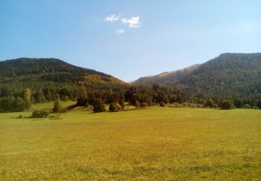 Tour Wandern Camurac - les crêtes de Camurac - Photo