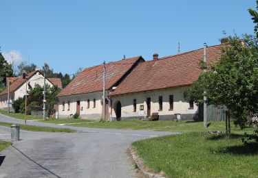 Percorso A piedi Bobrová - NS Okolím Bobrové (červená) - Photo