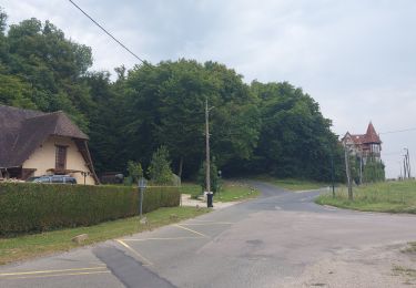 Tour Wandern Perriers-sur-Andelle - 20240813 Perriers sur Andelle  - Photo