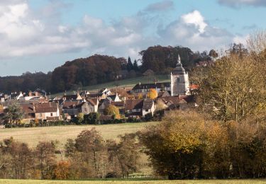Tocht Stappen Bretoncelles -  Bretoncelles - Condé-sur-Huisne 13 km - Photo
