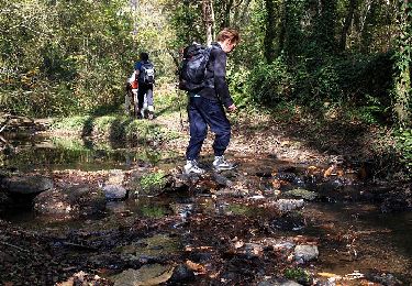 Trail Nordic walking Crespin - sentier de l'Andouquette - Photo