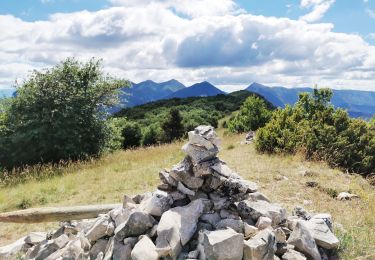 Tour Wandern Saou - Petit et Grand Pomerolles - Forêt de Saoù - Photo