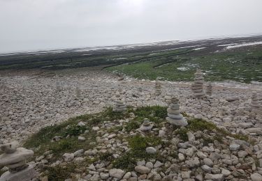 Trail Walking Saint-Denis-d'Oléron - chassiron - Photo