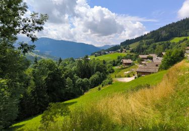 Tour Wandern Le Grand-Bornand - Balade par la Cascade Mystérieuse et l'Arbelay - Photo