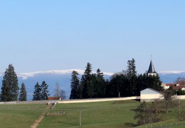 Trail Walking Trézioux - Trezioux_Lestre_2 - Photo