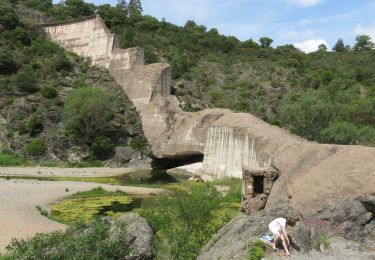 Tour Wandern Fréjus - Esterel : barrage de Malpasset et lac de l'Avellan - Photo