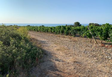 Tocht Stappen Narbonne - 9 km rando Narbonne plage - Photo