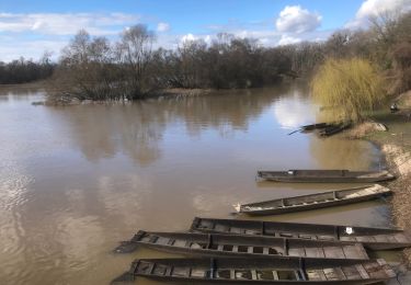 Excursión Senderismo Munchhausen - 2024-02-25-Delta de la Sauer - Photo