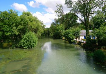 Randonnée Marche Esvres - Esvres-sur-Indre - Circuit 1 - 16.4km 120m 3h35 - 2020 06 12 - Photo