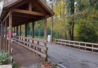 Excursión Senderismo Court-Saint-Étienne - jolie promenade d'automne - Photo