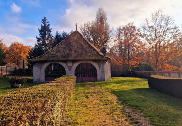 Trail Walking Saint-Maurice-Montcouronne - Boucle St Maurice Montcouronne - Brigitte - Photo