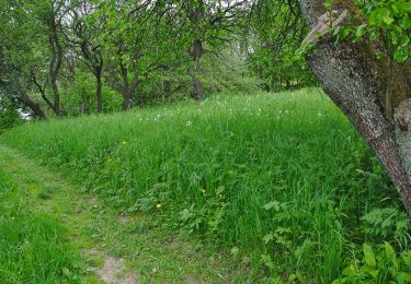 Trail On foot Starý Hrozenkov - NS Okolo Hrozenka - Photo