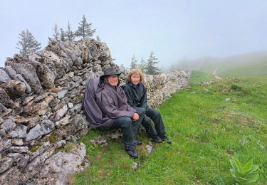 Tour Wandern Les Rousses - la dole - Photo