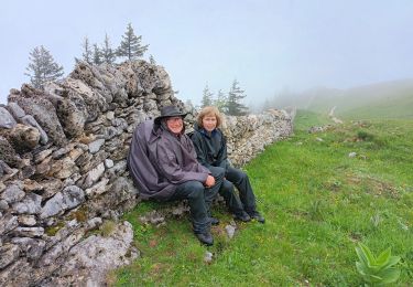 Excursión Senderismo Les Rousses - la dole - Photo