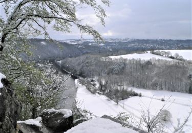 Tour Wandern Lüttich - Roche aux Faucons départ domaine universtaire Sart Tilman - Photo