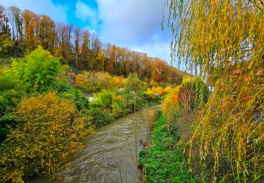 Trail Walking Ham-sur-Heure-Nalinnes - La promenade du Pré al Rocq - Photo