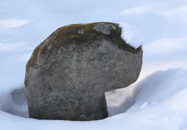 Randonnée A pied Schalkau - Pankrazweg - Photo