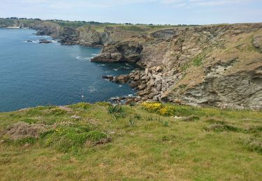 Randonnée Marche Locmaria - belle île de la pointe de Pouldon à la plage de Herlin - Photo